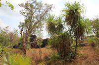 Kakadu-Nationalpark – Wanderung an der Ubirr Felsformation