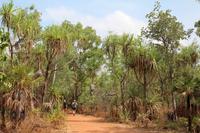 Kakadu-Nationalpark – Wanderung an der Ubirr Felsformation