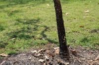 Kakadu-Nationalpark – Im Bowali Besucherzentrum