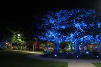 Cairns – Abendspaziergang – Lichtilluminationen