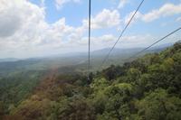 Cairns – Skyrail nach Kuranda