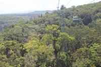 Cairns – Skyrail nach Kuranda
