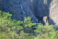 Kuranda – Scenic Railway – Barron-Schlucht