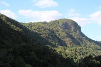 Kuranda – Scenic Railway nach Cairns