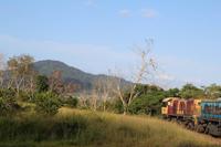 Kuranda – Scenic Railway nach Cairns