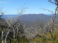 Blue Mountains (Ausblick vom Elysian Rock)