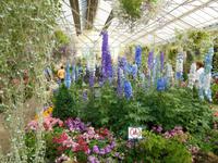 Melbourne (Fitzroy Gardens - Conservatory)