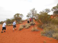 Fahrt von Alice Springs nach Yulara (Spaziergang auf eine Sanddüne im Outback)