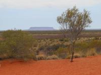 Fahrt von Alice Springs nach Yulara (Sanddüne im Outback - Blick auf den Mount Conner)