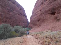 Outback - Wanderung bei den Kata Tjutas (Olgas)