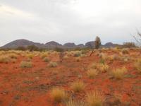 Outback - Blick auf die Kata Tjutas (Olgas)