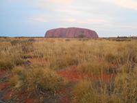 Outback - Sonnenuntergang am Uluru (Ayers Rock)