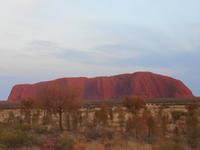 Outback - Sonnenaufgang am Uluru (Ayers Rock)