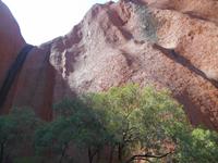 Outback - Spaziergänge am Uluru (Ayers Rock)