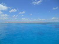 Great Barrier Reef (Koralleninsel 