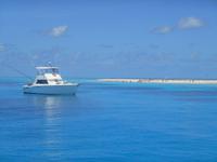 Great Barrier Reef (Koralleninsel 
