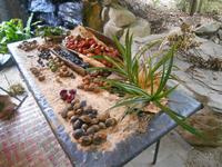 Smithfield (Tjapukai Aboriginal Kulturzentrum - Buschmedizin)