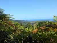 Daintree Nationalpark (Aussichtspunkt Alexandra Range)