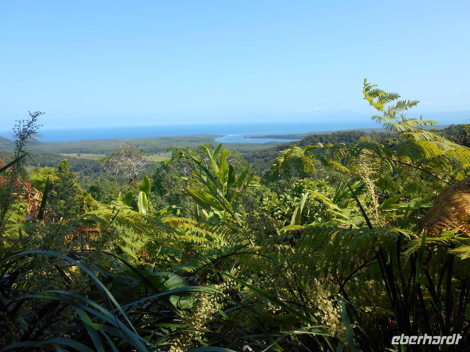 Daintree Nationalpark (Aussichtspunkt Alexandra Range)