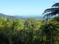 Daintree Nationalpark (Aussichtspunkt Alexandra Range)