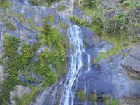 Fahrt mit dem Kuranda 