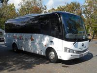 Ausflugsbus zum Daintree Nationalpark