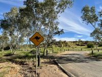 9. Reisetag – Warnung vor Kängurus bei Alice Springs