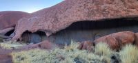 91 Spaziergang am Uluru