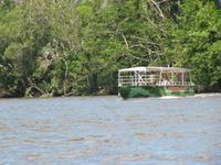Bootsfahrt auf dem Daintree River