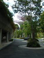 Botanischer Garten Singapur