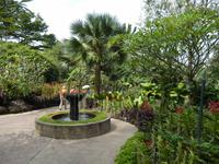 Orchideengarten Singapur