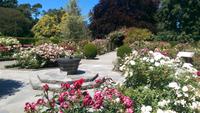 Botanischer Garten in Christchurch