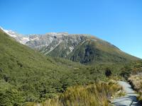 Wanderung Arthurs Pass Walking Track