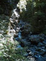 Wanderung Arthurs Pass Walking Track