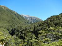 Wanderung Arthurs Pass Walking Track