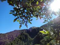 Wanderung Arthurs Pass Walking Track