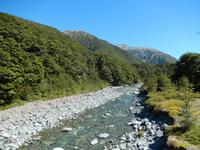Wanderung Arthurs Pass Walking Track