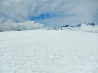 Hubschauberrundflug am Fox Gletscher