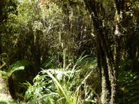 Wanderung zum Reflection Lake