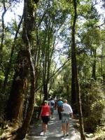 Wanderung zum Reflection Lake