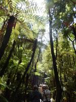 Wanderung zum Reflection Lake