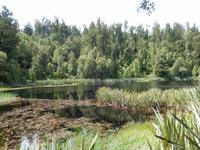 Wanderung zum Reflection Lake