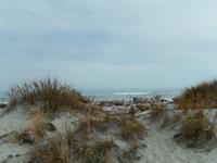 Strandspaziergang an der Tasman sea