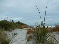 Strandspaziergang an der Tasman sea