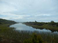 Strandspaziergang an der Tasman sea