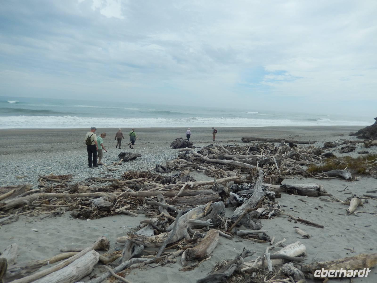 Strandspaziergang an der Tasman sea