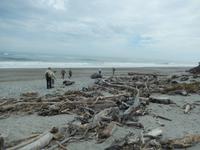 Strandspaziergang an der Tasman sea