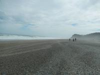 Strandspaziergang an der Tasman sea