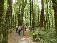 Lake Gunn Nature Walk