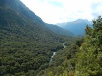Lake Gunn Nature Walk